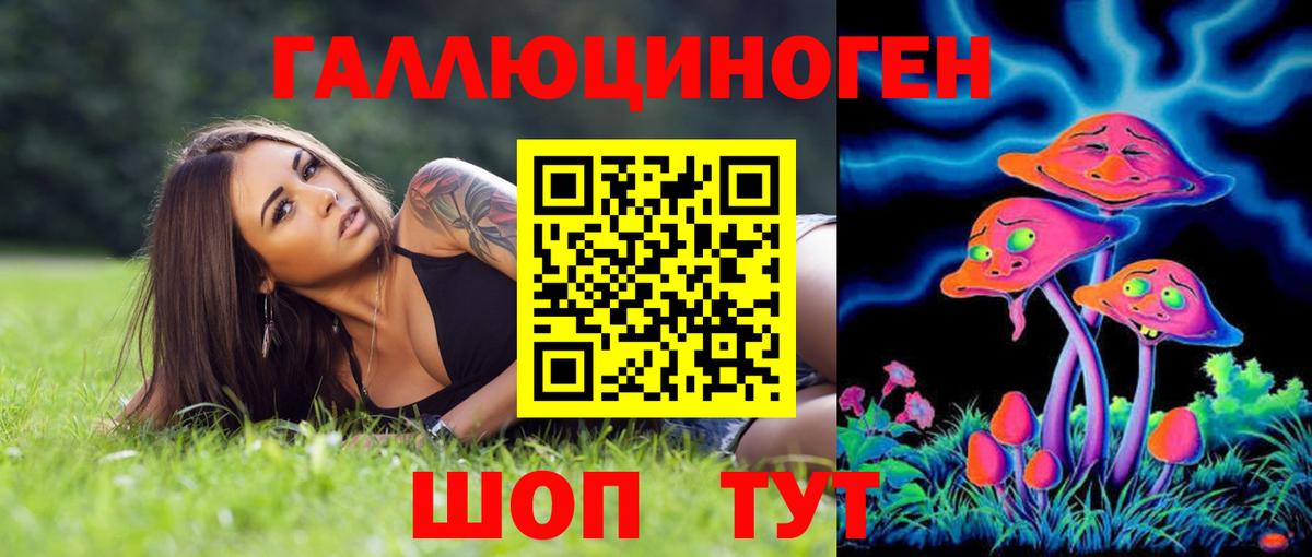 Галлюциногенные грибы GOLDEN TEACHER  Вход с VPN  Зеленогорск 